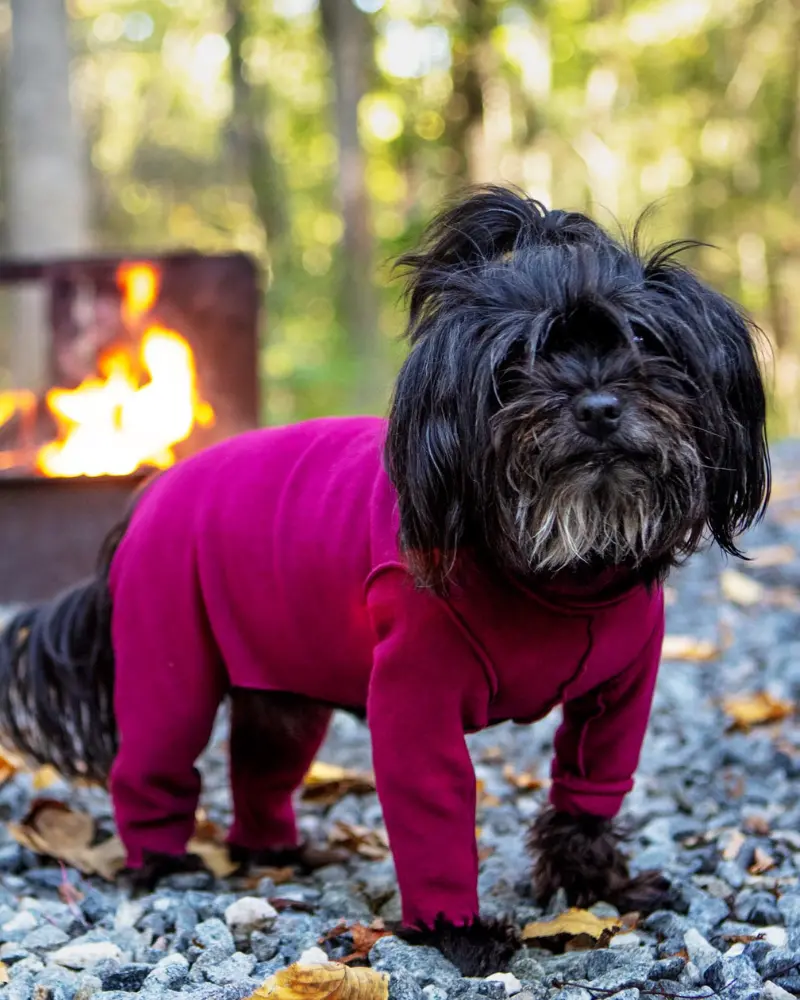 Stretch Fleece Onesie With Shawl Collar In Garnet (Made In The Usa, Dog & Co. + Gold Paw Exclusive!) (Final Sale) 1