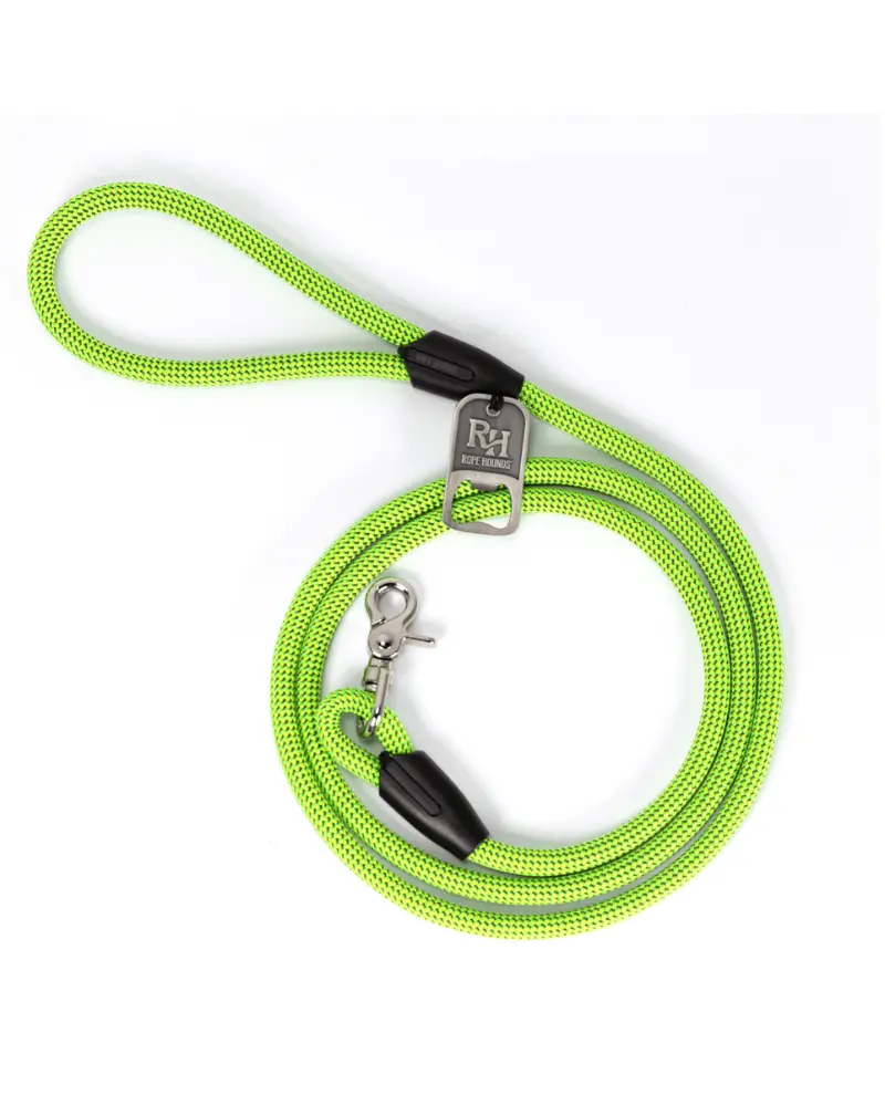 Standard Handle Dog Leash In Scooby Van (Made In The Usa) 1