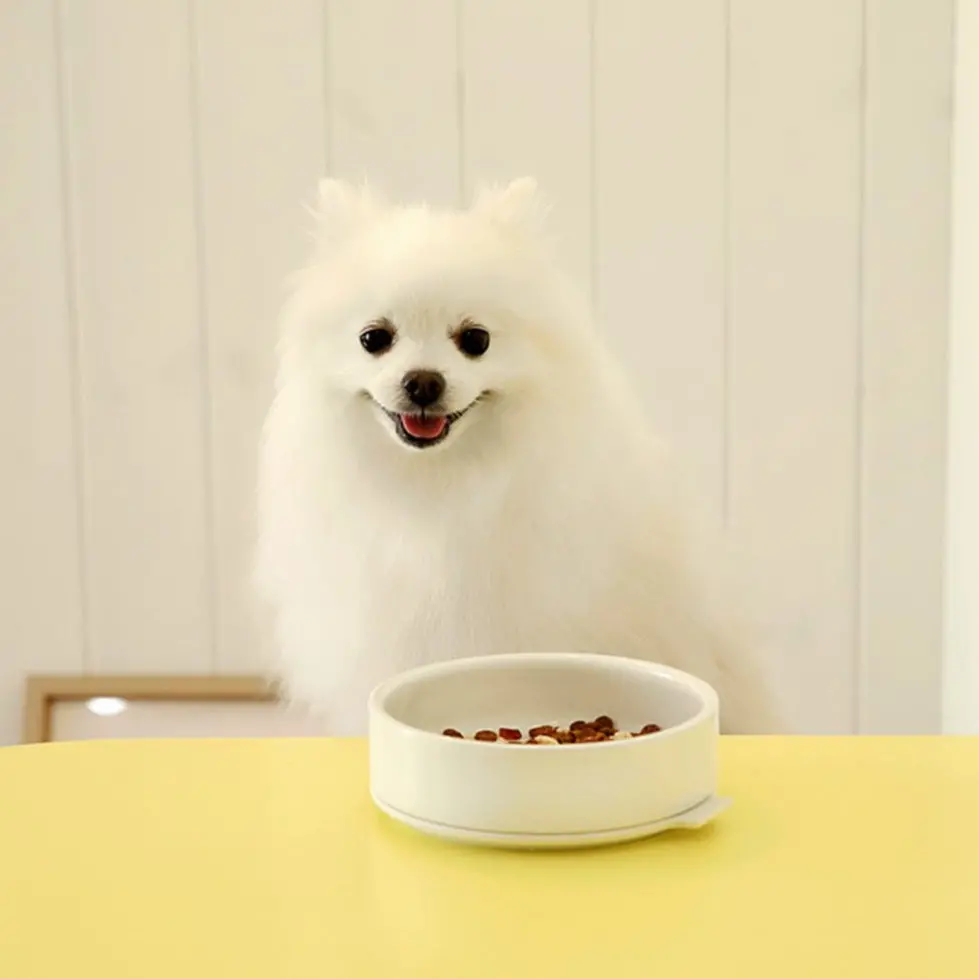 Ceramic & Silicone Pudding Dog Bowl In White (Final Sale) 1