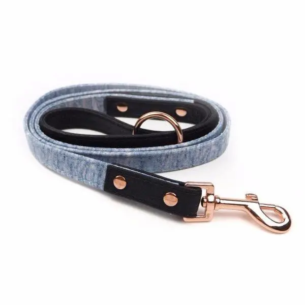 Pupstyle | Greys For Days City Leash 1