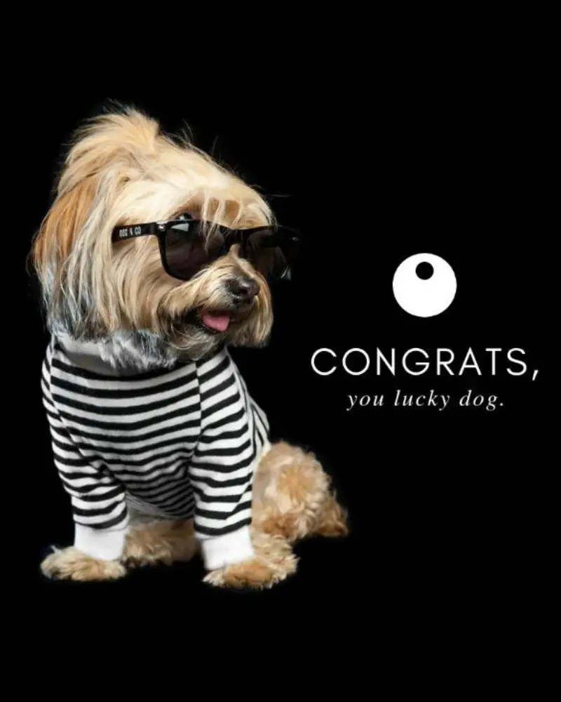 Dog & Co. | Gift Card 1