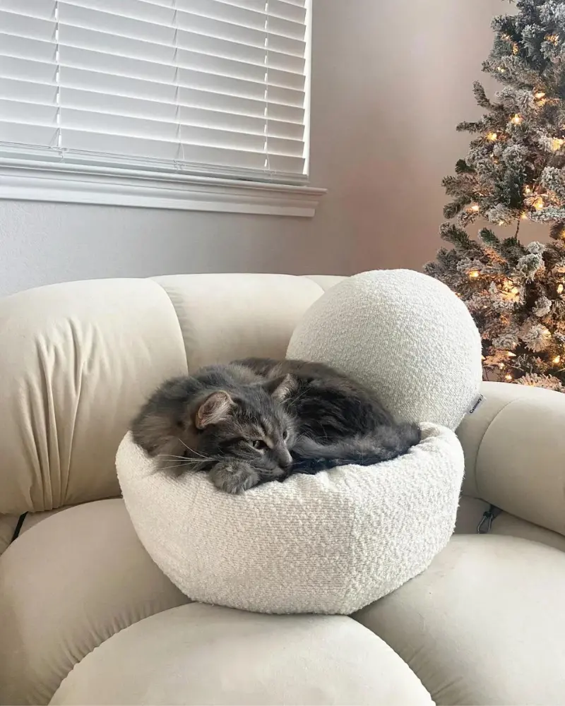 Bouclé Modular Moon Cat Cave Bed 1