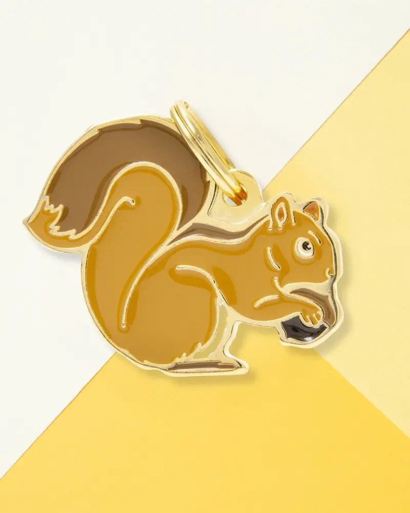 Nuts For Squirrels Custom Pet Id Tag 1