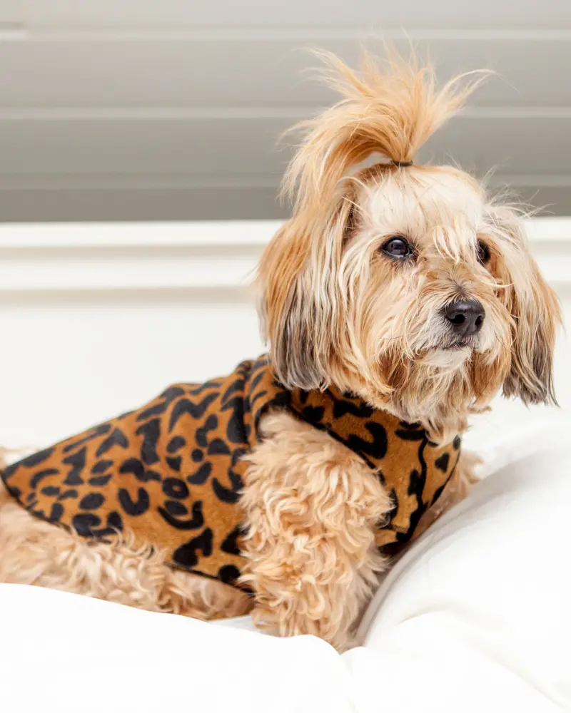 Stretch Fleece Pullover In Leopard Print 1