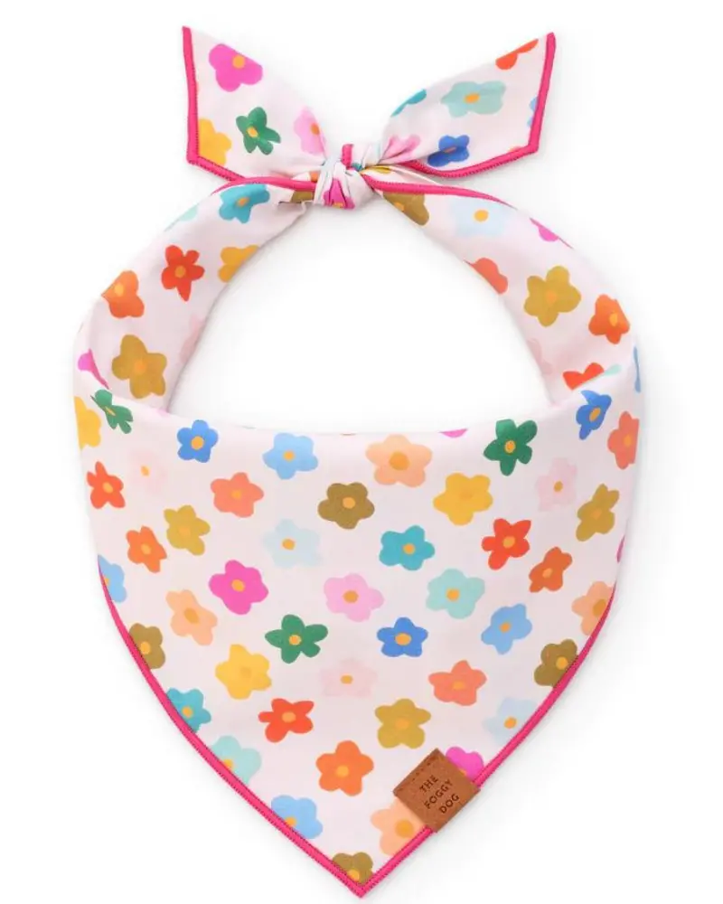 Rainbow Flower Dog Bandana (Made In The Usa) (Final Sale) 1