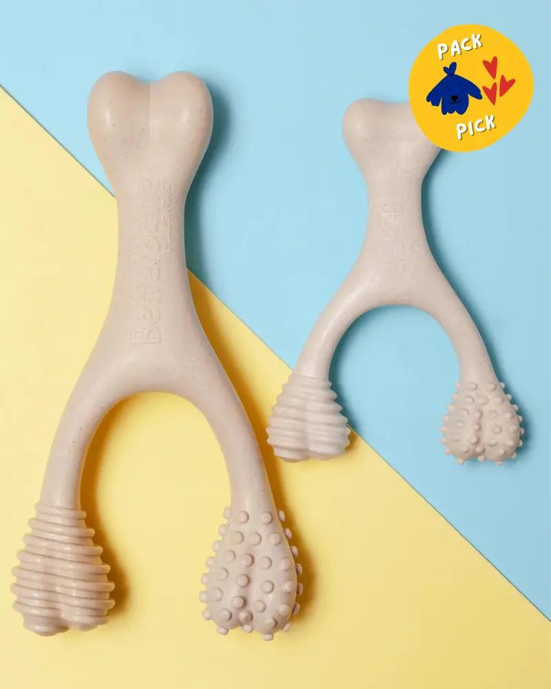 Natural Hypoallergenic Eco-Friendly Dog Chew Toy (Beef Flavor - Soft) 1