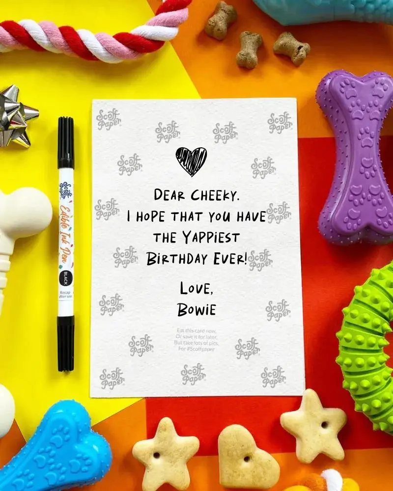 Edible Birthday Card For Dogs (Bacon Flavor) 2