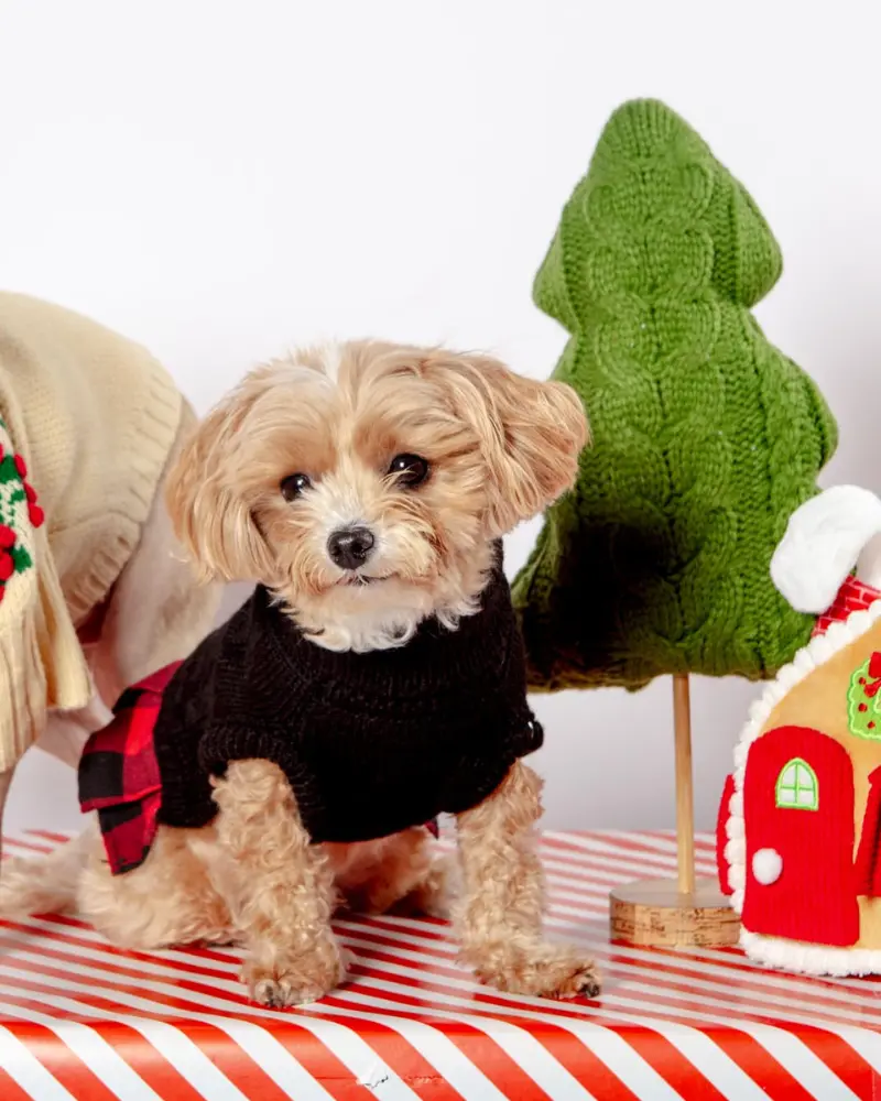 Turtleneck Sweater Dress For Dogs 1