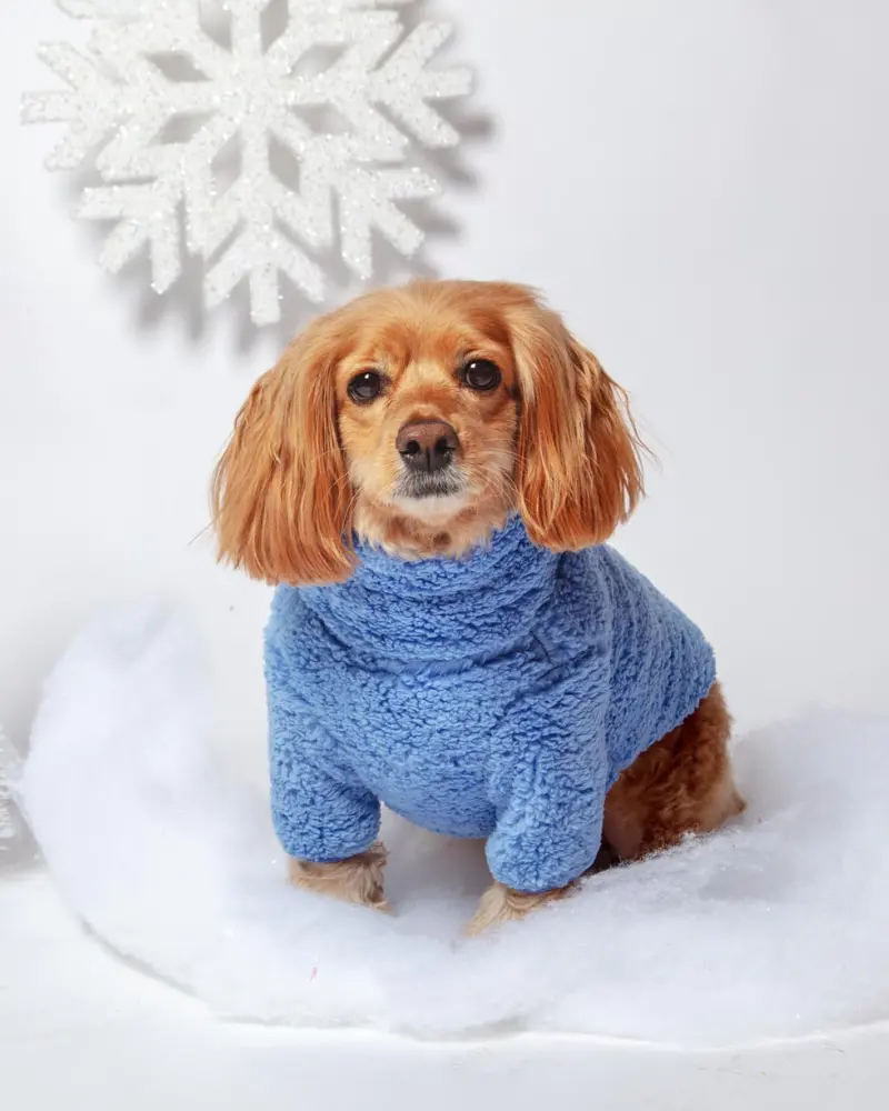 Blue Magic Fleece Sweatshirt 1