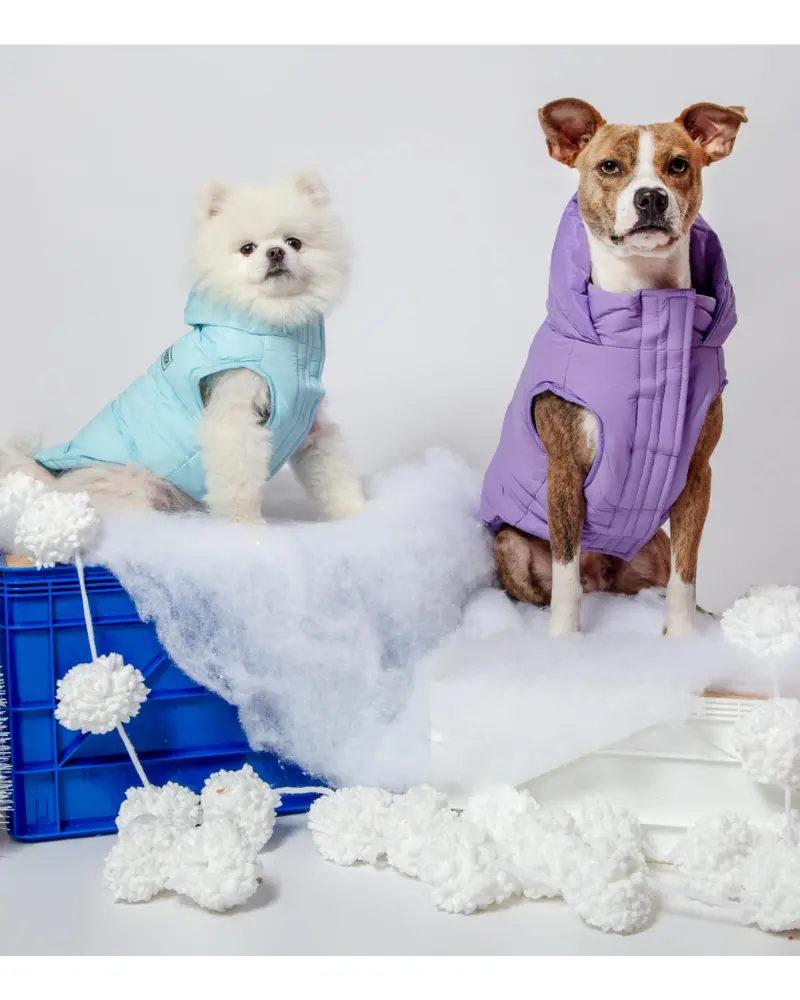 Insulated Waterproof Dog Puffer (Final Sale) 1