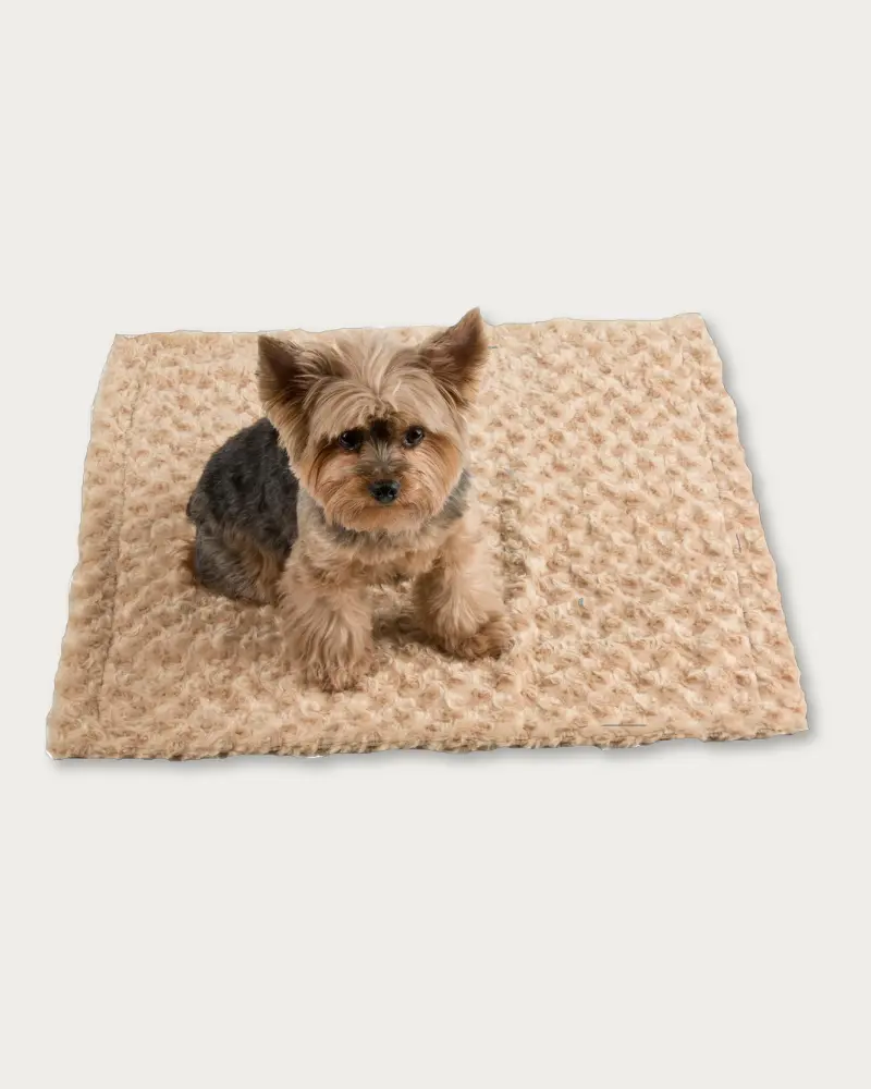 Small Cuddle Minky Blanket In Camel (Made In The Usa) 1