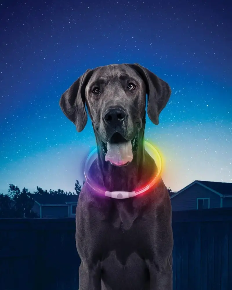 Nitehowl® Rechargeable Led Safety Dog Necklace 1
