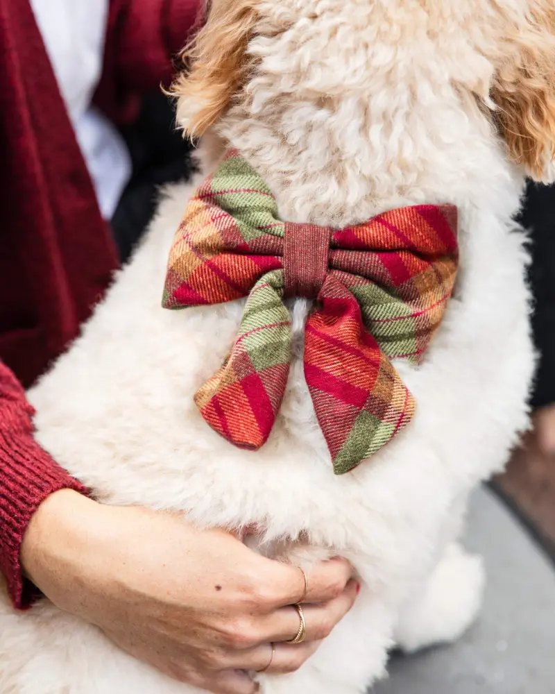 Orchard Plaid Flannel Lady Dog Bow Tie (Made In The Usa) 1