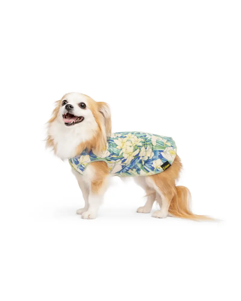 Sun Shield Dog Tee In Daffodils 1