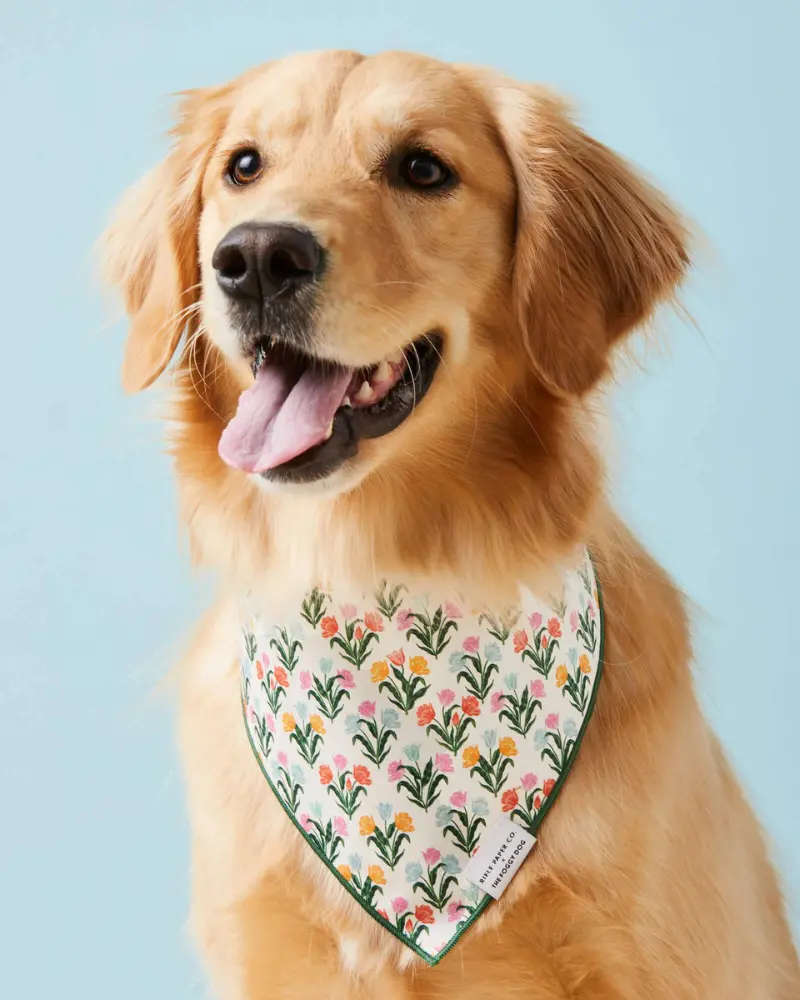 Rifle Paper Co. X Tfd Tulips Dog Bandana (Made In The Usa) (Final Sale) 1