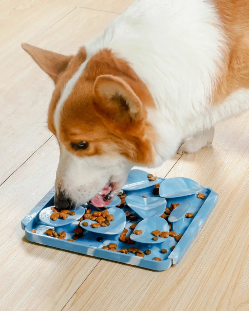 Rock Foraging Mat For Dogs 1