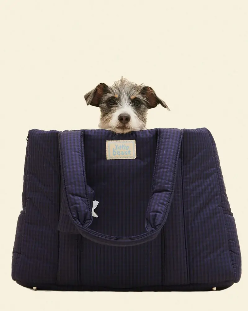Purple Haze Dog Carrier 1