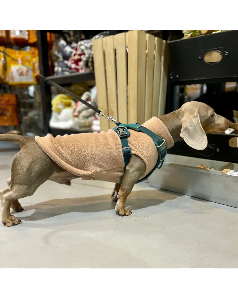 Dachshund Fleece Jumper In Camel (Made In The Uk) (Final Sale) 1