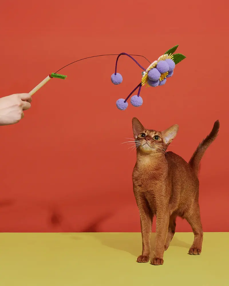 Blooming Cat Teaser Toy 1
