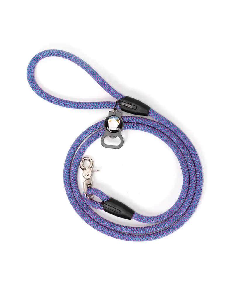 Classic Dog Leash In Bubblegum Pop (Made In The Usa) 1