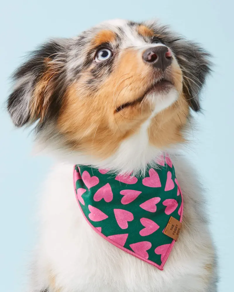 Lovestruck Dog Bandana (Made In The Usa) 1