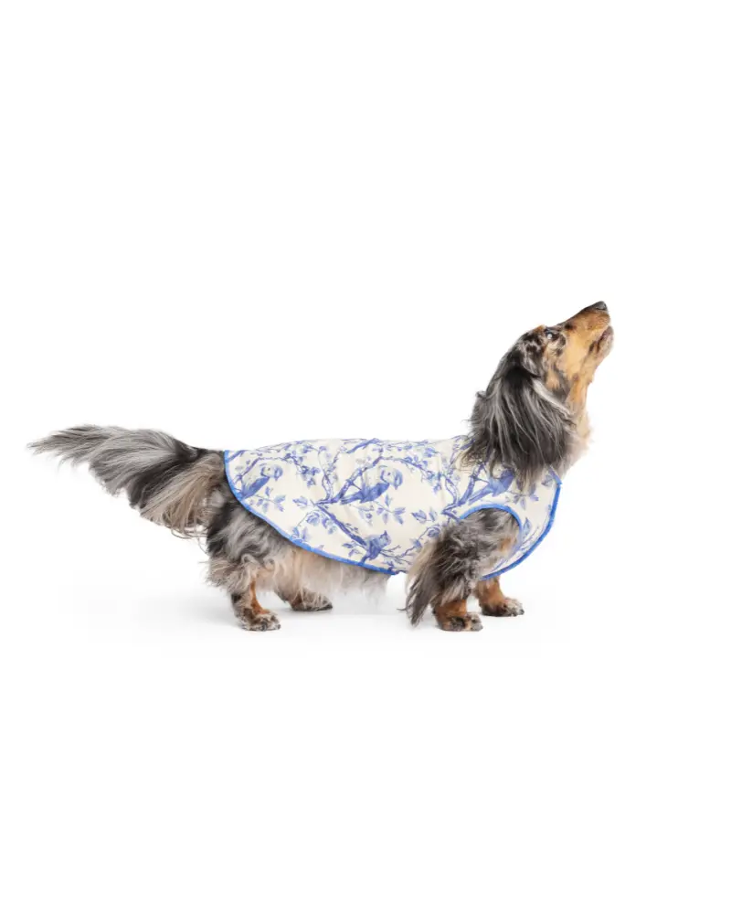 Sun Shield Tee In Blue Bird Toile 1