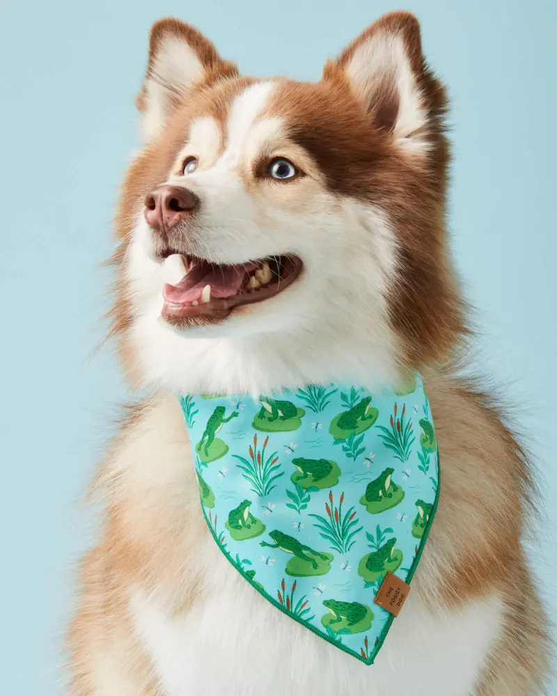 Frog Pond Spring Dog Bandana (Made In The Usa) (Final Sale) 1
