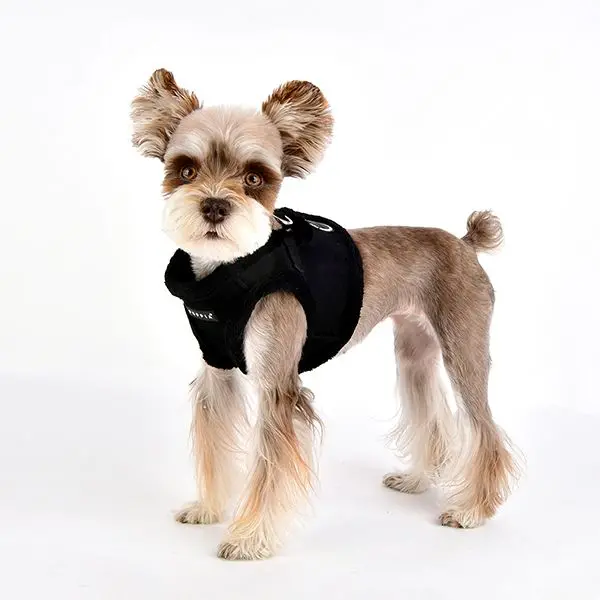 Suede + Shearling Step-In Dog Harness In Black (Final Sale) 1