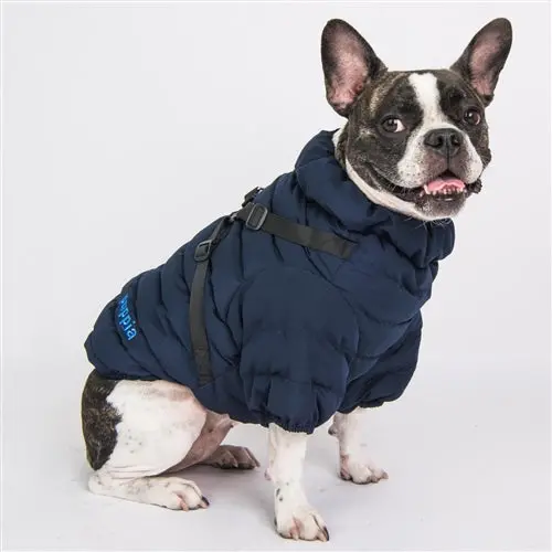 Ultra Light Soft Dog Puffer Jacket With Harness Vest In Navy (Final Sale) 1