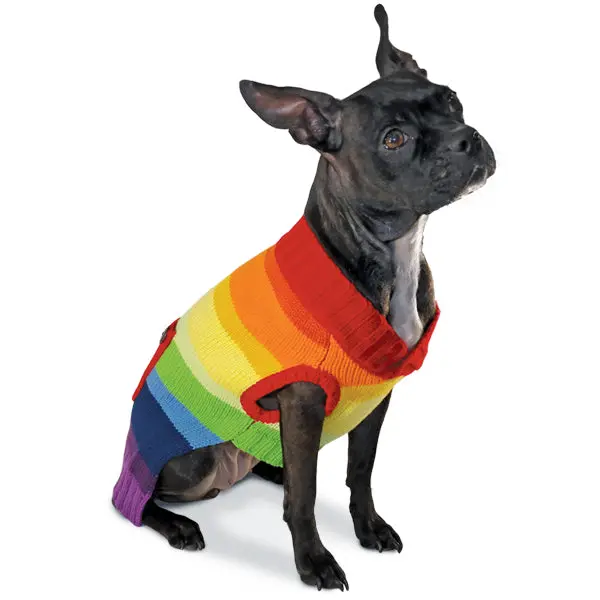 Dogo | Rainbow Sweater 1