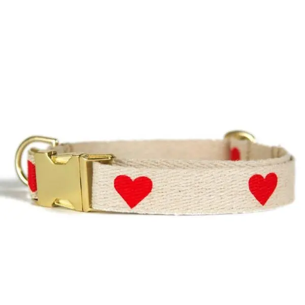 Shed | Heart Collar 1