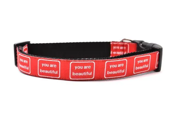 Six Point Pet | You Are Beautiful Collar 1