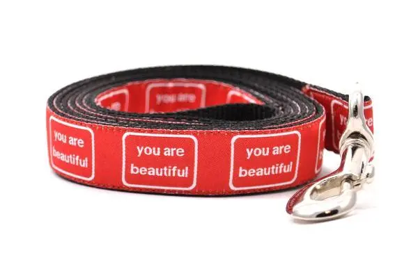 Six Point Pet | You Are Beautiful Leash 1