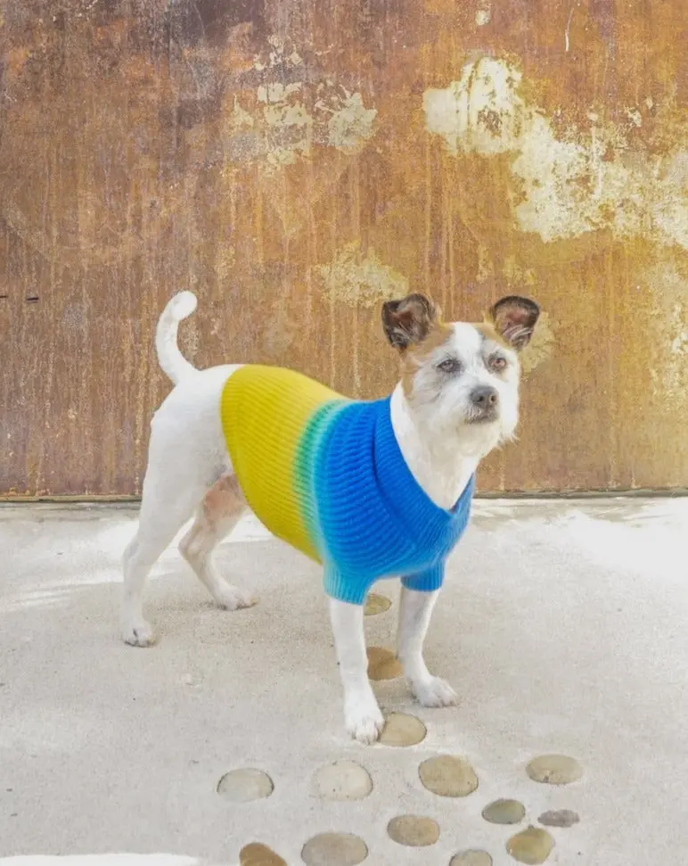 Tie-Dye Cashmere Blend Sweater In Blueberry & Pineapple << Final Sale >> 1