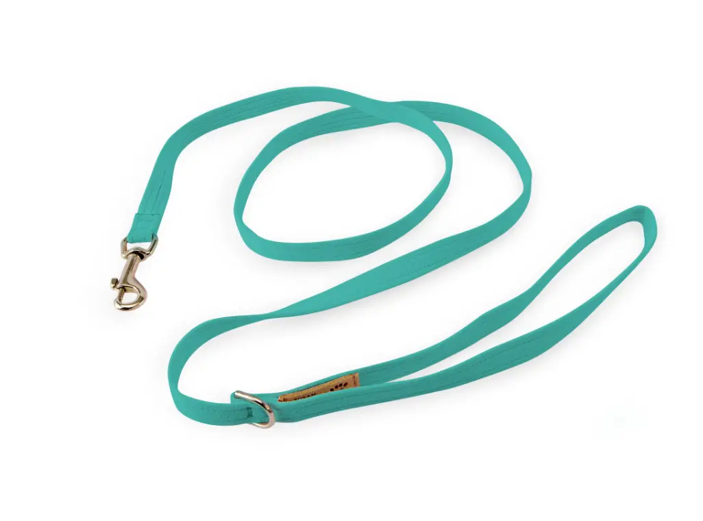 Susan Lanci | Leash In Bimini Blue 1
