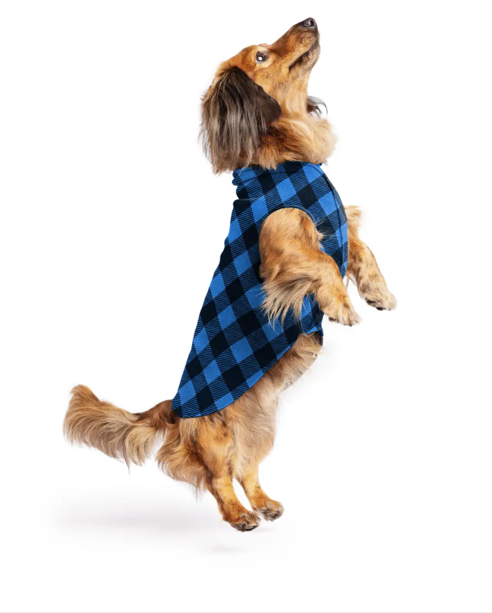 Pullover Stretch Dog Fleece In Cobalt Buffalo Plaid (Made In The Usa) 1