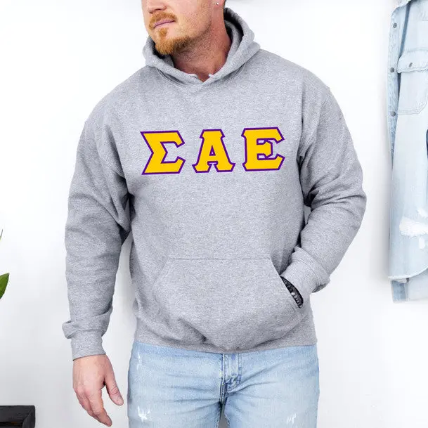 Sigma Alpha Epsilon Greek Hoodie 1