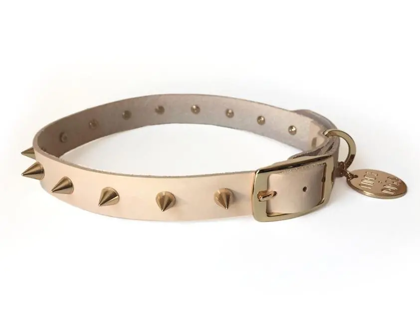 Nice Digs | Gold Spike Leather Dog Collar 1