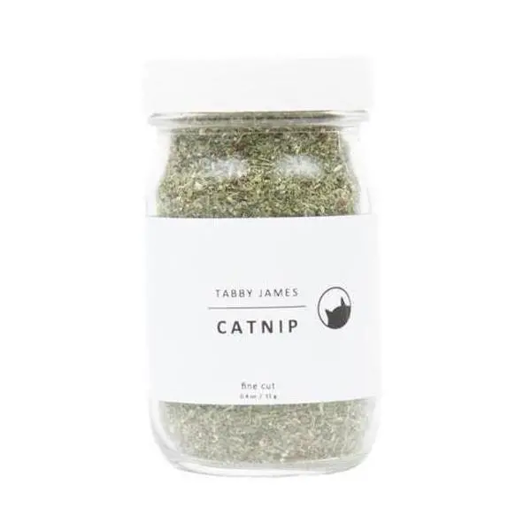 Tabby James | Catnip Fine Cut 1