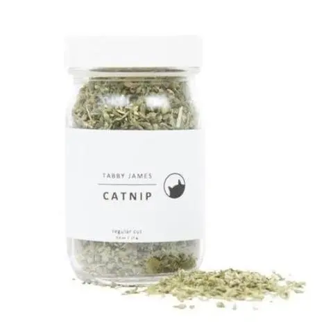 Tabby James | Catnip Regular Cut 1