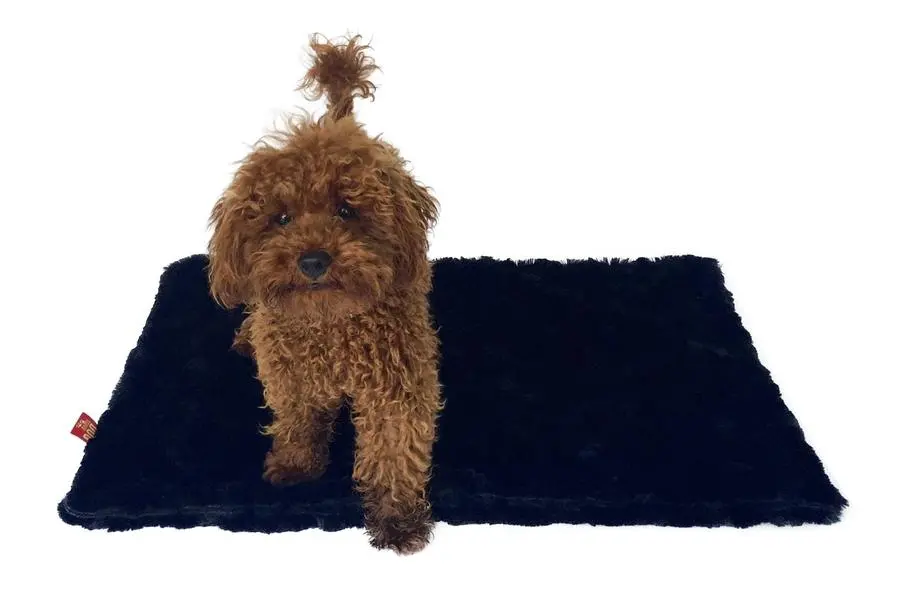 The Dog Squad | Bella Blanket In Black 1