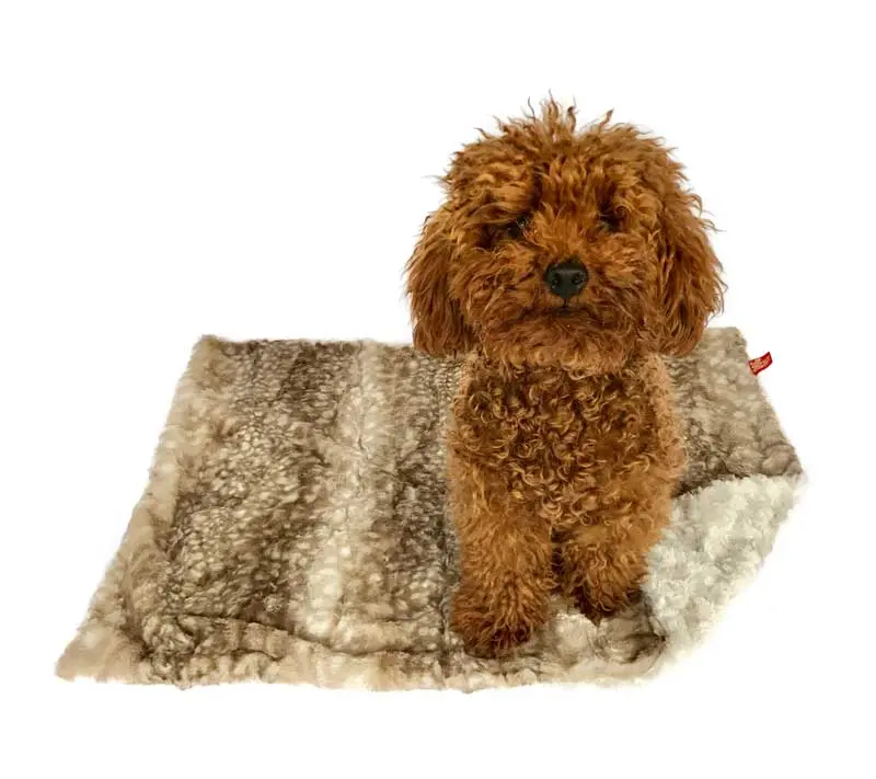 The Dog Squad | Fawn Minkie Blanket 1