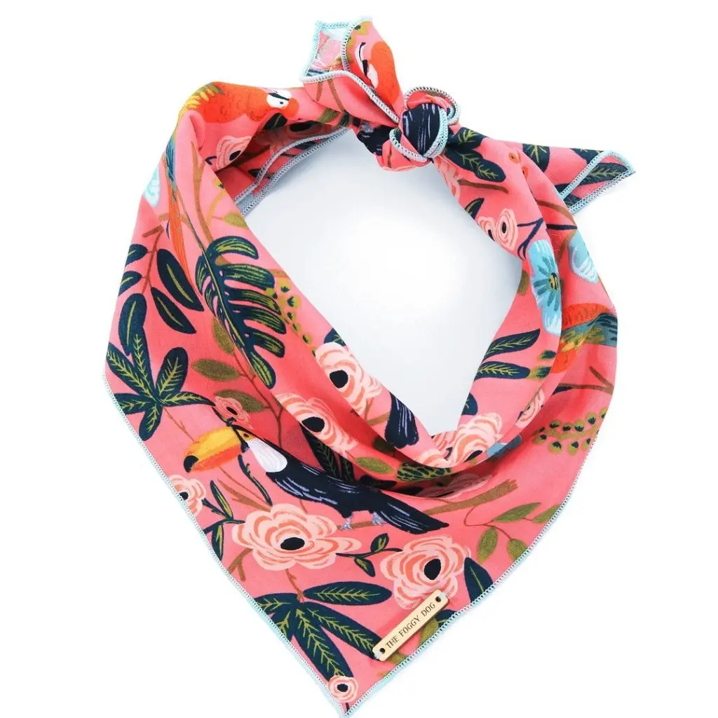 The Foggy Dog | Aloha Bandana 1