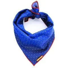 The Foggy Dog | Cambridge Pin Dot Dog Bandana 1