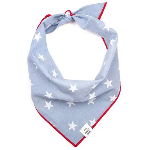 The Foggy Dog | Liberty Dog Bandana 1