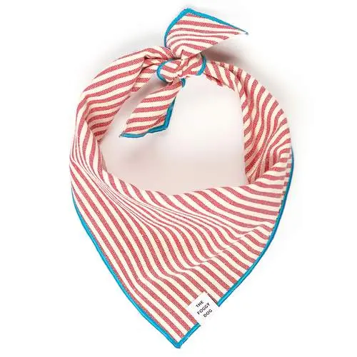 Red Stripe Blue Trim Dog Bandana 1