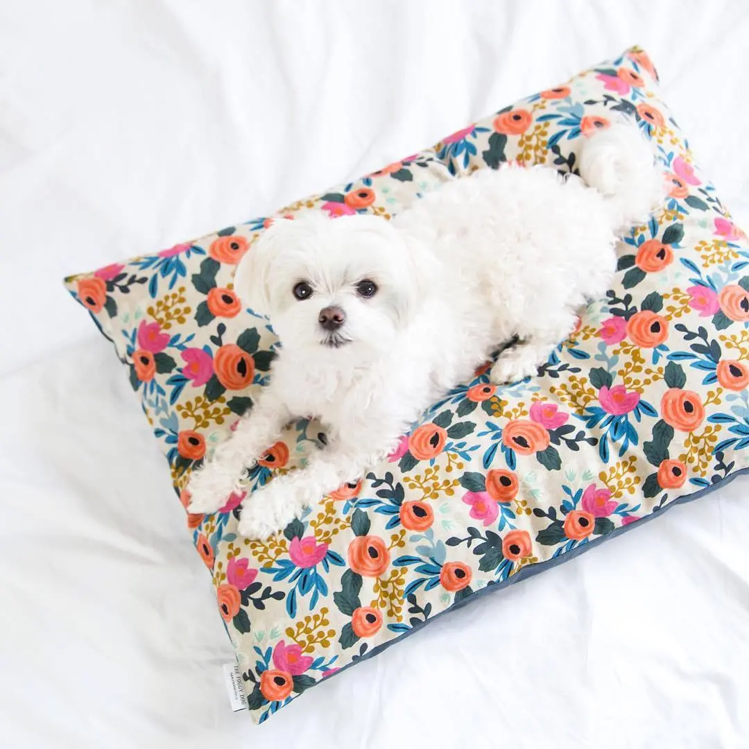 The Foggy Dog | Rosa Floral Dog Bed Cover 1