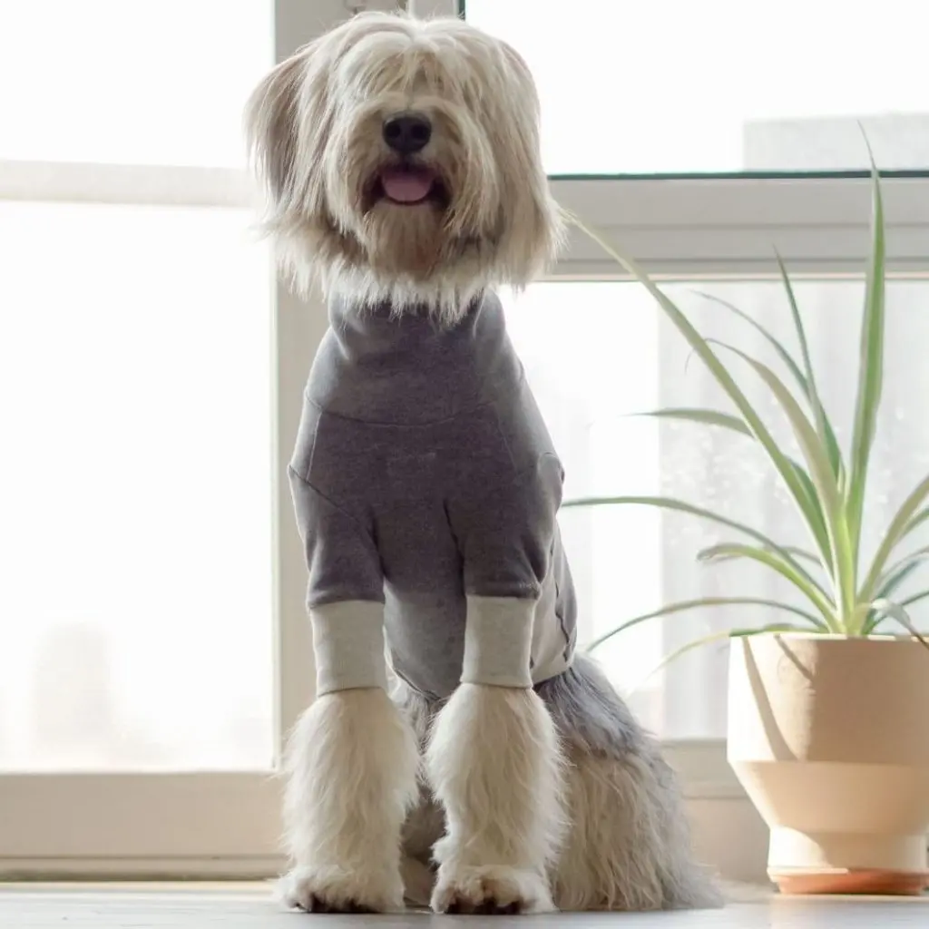 The Furryfolks | High Neck Tee In Grey 1