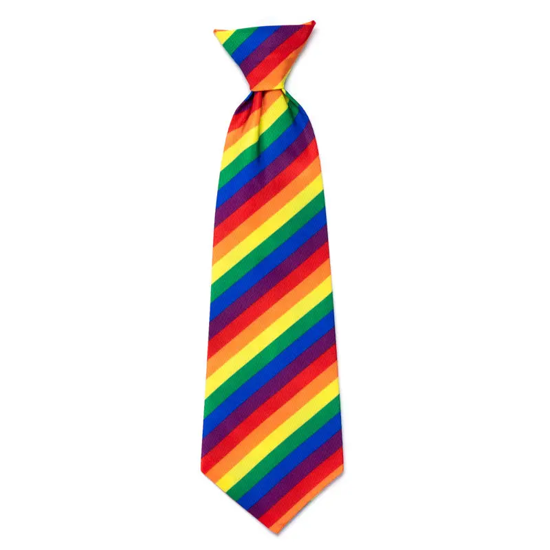 The Worthy Dog | Rainbow Neck Tie 1