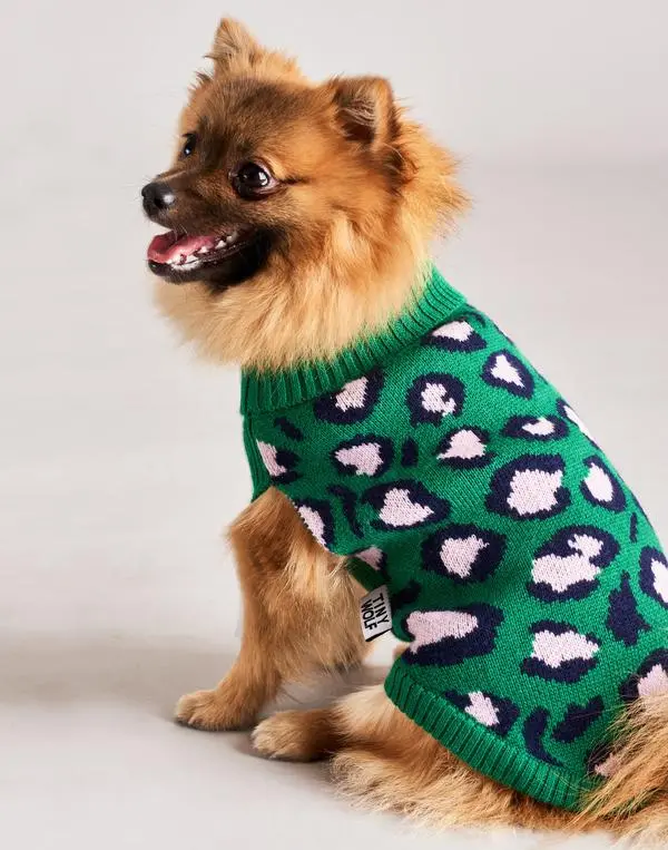 Tiny Wolf | Leopard Print Dog Sweater 1